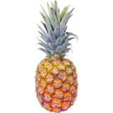 ANANAS VICTORIA KG