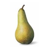 POIRE ABATE KG