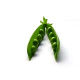 PETIT POIS KG