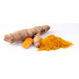 CURCUMA