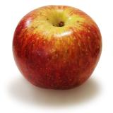 POMME PIXIE KG