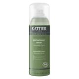 DEO SPRAY HOMME