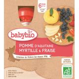4 GOURDES POMME MYRTILLE FRAISE