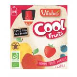 COOL FRUIT POMME FRAISE MYRTILLE X4