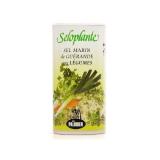 SELOPLANTE AUX LEGUMES EN BOITE