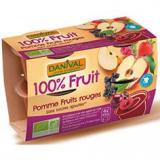 COMPOTE POMME FRUITS ROUGES X4