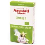 PROPOLIS GRANDE A PURE A MACHER