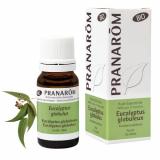 EUCALYPTUS GLOBULEUX HE 10ML PRANAROM
