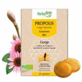 PROPOLIS 24 GOMMES